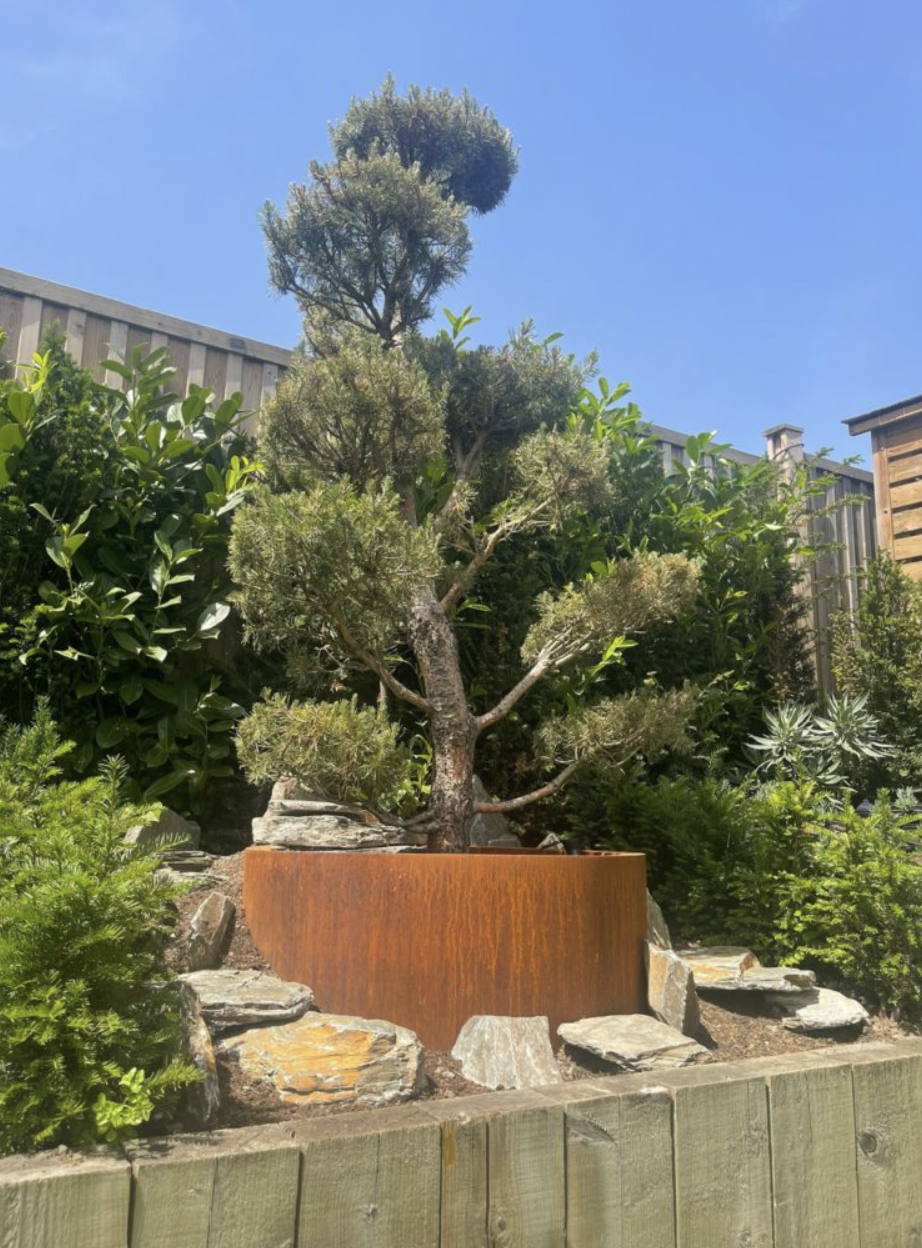 Malvern Flat Pack Planter - 500x500x500 CORTEN PRE WEATHERD - Image 5