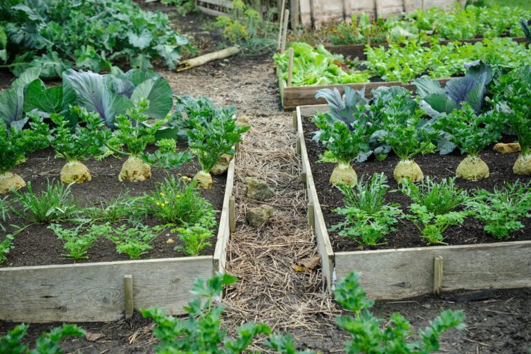 Regenerative Gardening: 5 Ways to Improve Soil Health Naturally