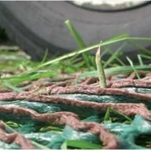 Grass Protection Mesh - 3 Grades (9 | 11 | 13mm Thick)