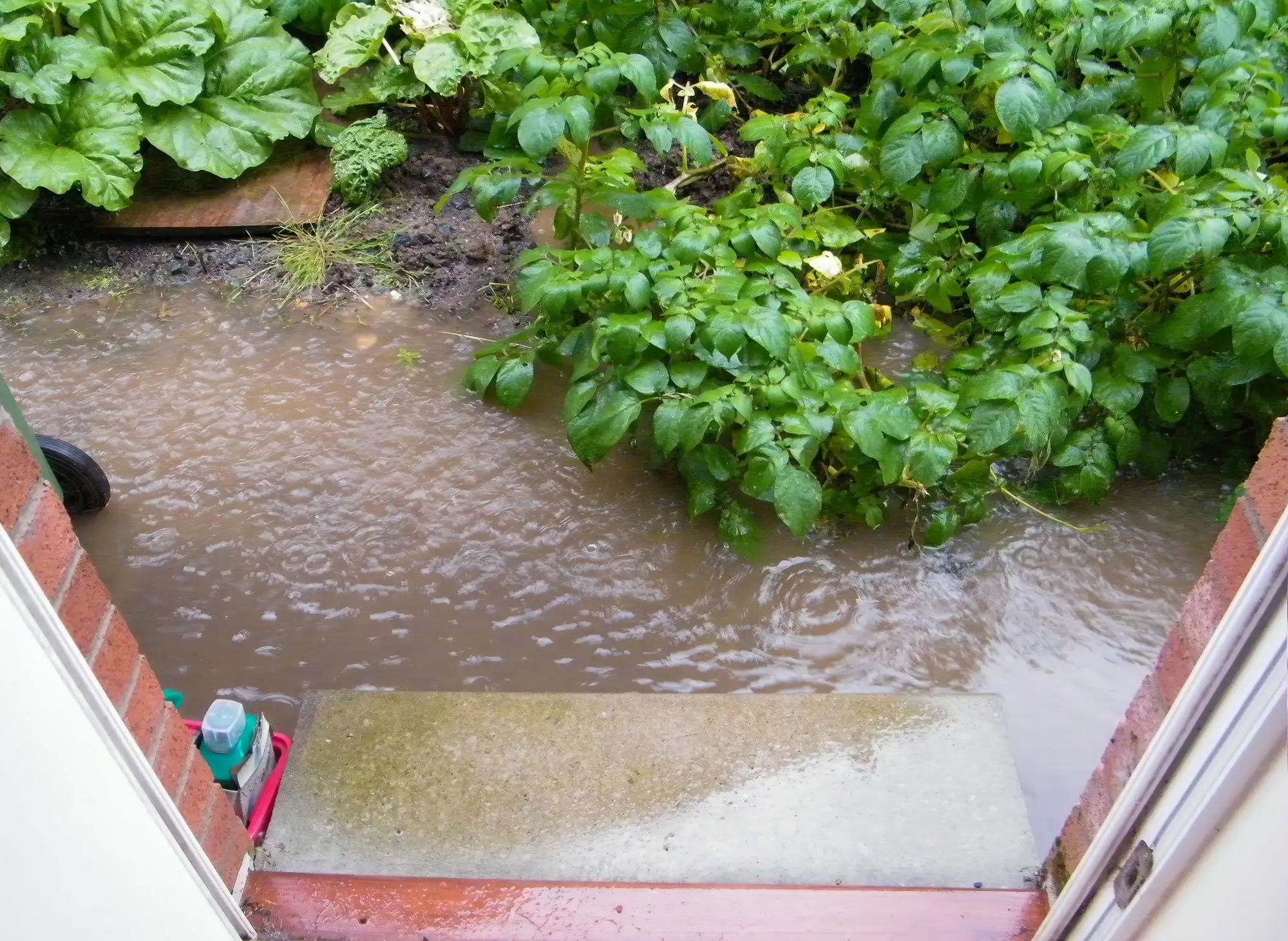 Garden flooding caused by poor drainage and impermeable surfaces
